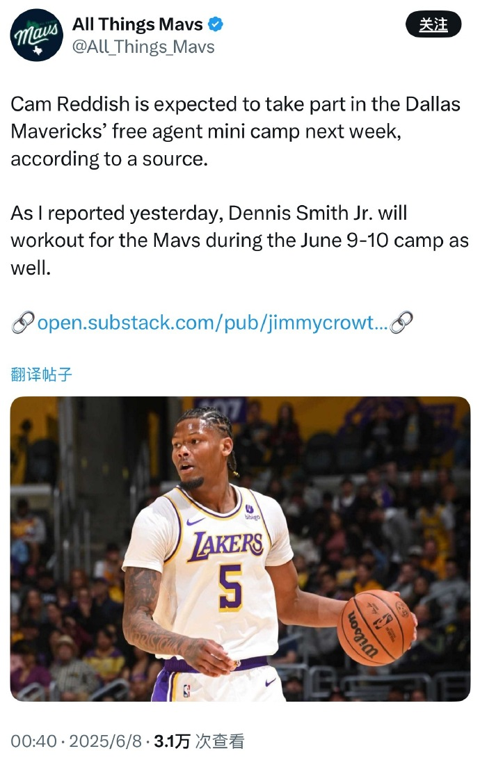 🤔雷迪什预计将参加独行侠迷你训练营，3月份被湖人裁掉